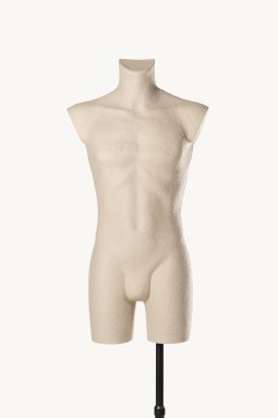 ARVON-BUSTO-P