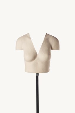 FEMALE-PYRINEES-P
