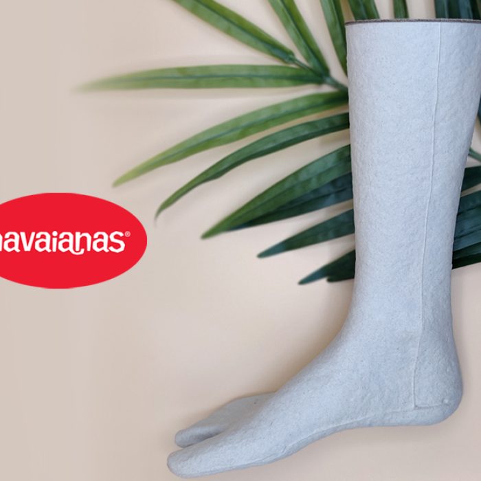 peu-expositor-sandalies-xancletes-havaianas