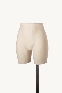 HIPS-FEMALE-P