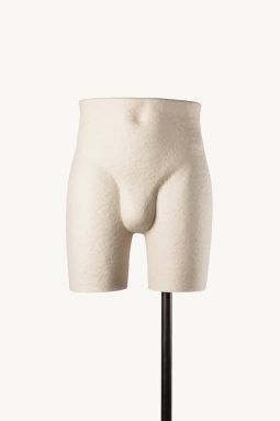 HIPS-MALE-P